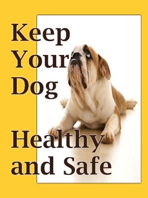 dog healthy and safe
